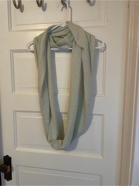 Ann Taylor Accessories - Ann Taylor Pale Sage Knit Infinity Scarf with Metallic Thread